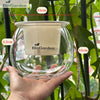 Chậu cây thủy sinh nhỏ bằng nhựa trong suốt BIN05