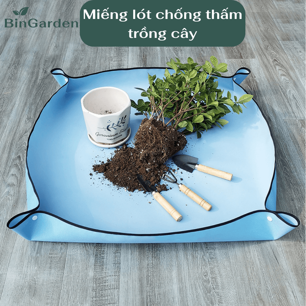 Miếng lót trồng cây chống thấm
